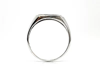 10K White Gold 0.007cttw Diamond Signet Ring - /