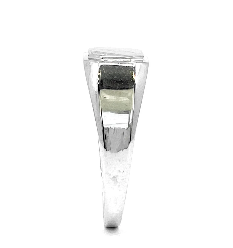 10K White Gold 0.007cttw Diamond Signet Ring - /