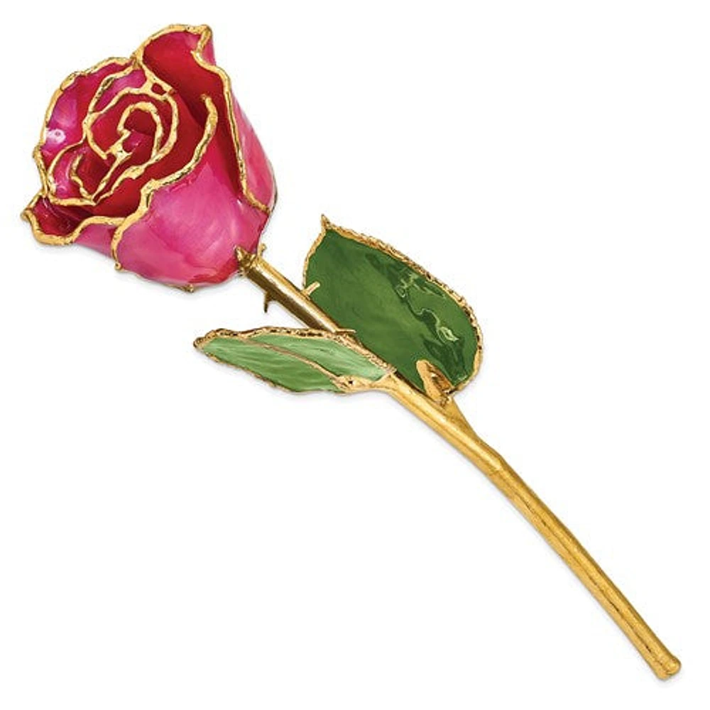 24K Lacquer Dipped Gold Trimmed Plum Fuchsia Real Rose