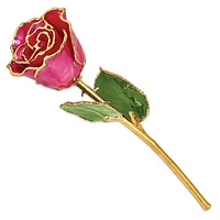 24K Lacquer Dipped Gold Trimmed Plum Fuchsia Real Rose