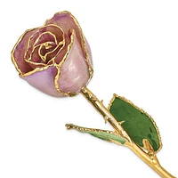 24K Lacquer Dipped Gold Trimmed Lavender Real Rose