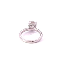 14K White Gold 3.62cttw Lab Grown Diamond Engagement Ring - /