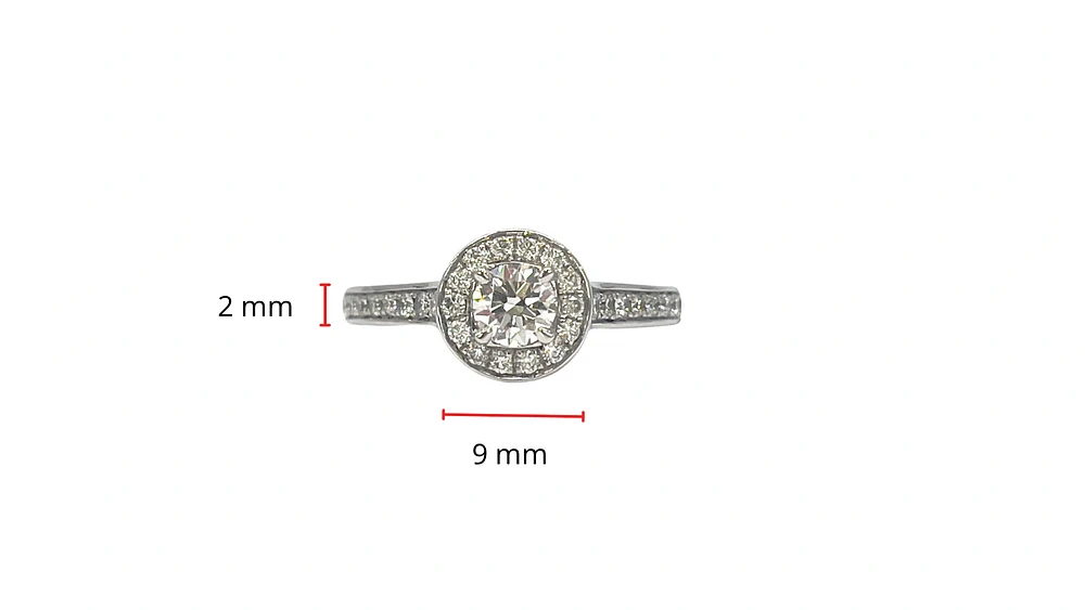 14K White Gold 0.69cttw Diamond Halo Engagement Ring - Size 6.5