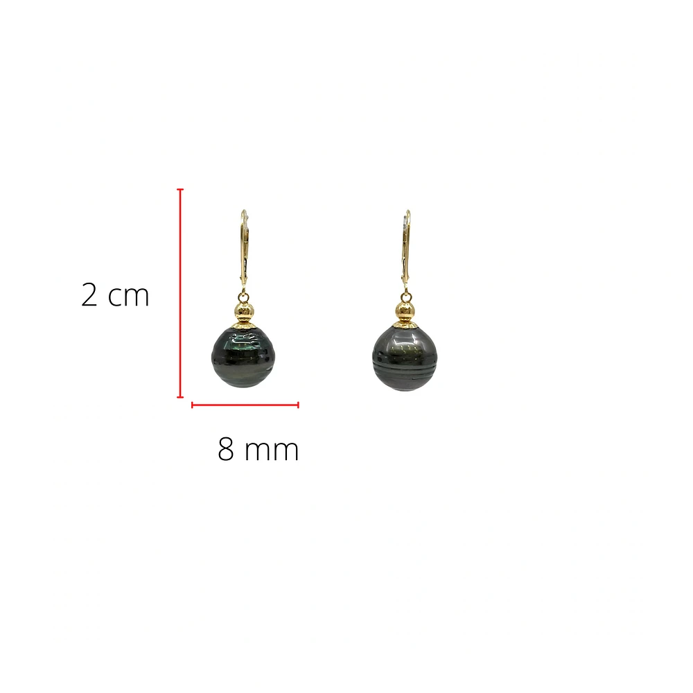 14K Yellow Gold 12mm Tahitian Pearl Earrings with Lever Backs