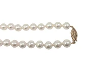 8-8.5mm White Cultured Pearl Strand with 14K Yellow Gold Pearl Clasp - 18"