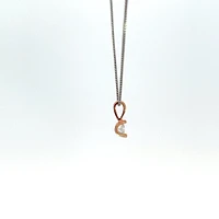 10K Two Toned Rose Gold and White Gold 0.04cttw Diamond Solitaire Necklace - 17 Inches