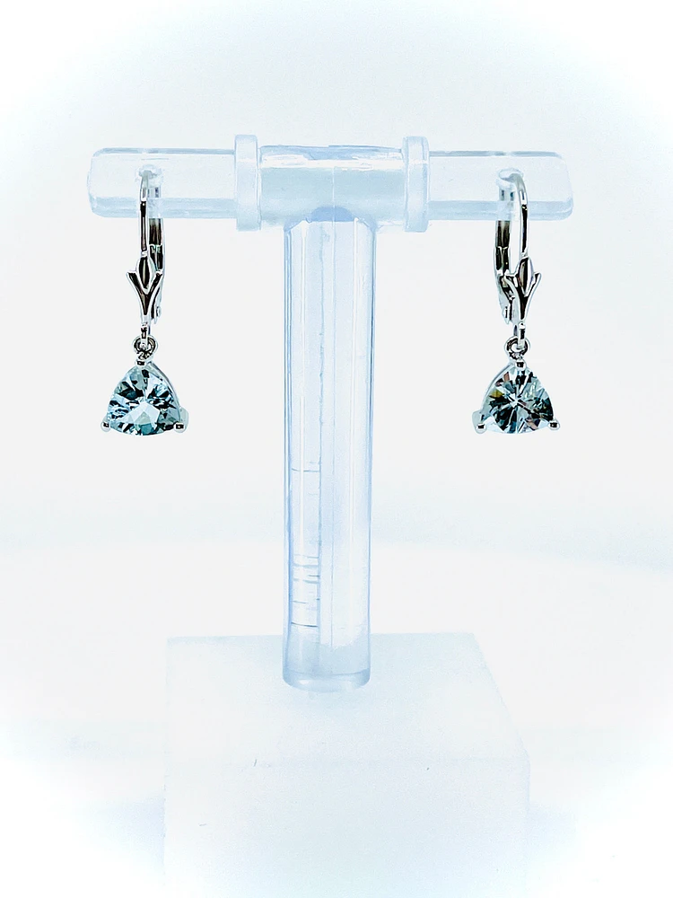 10K White Gold Aquamarine Earrings