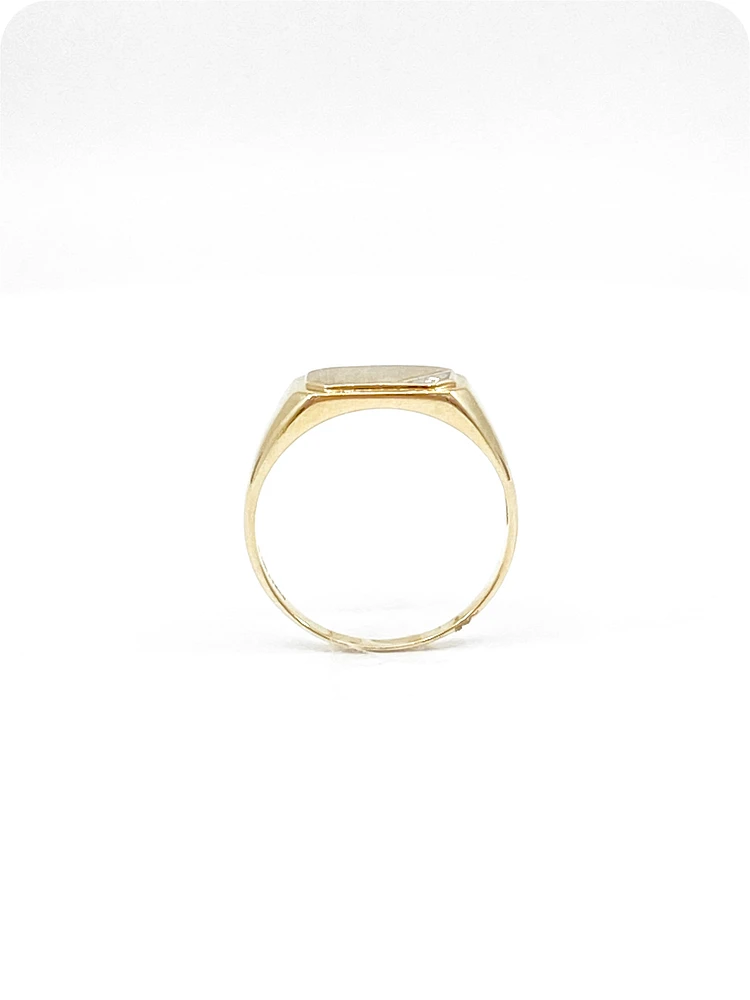 10K Yellow Gold 0.007cttw Diamond Signet Ring for Men, - /
