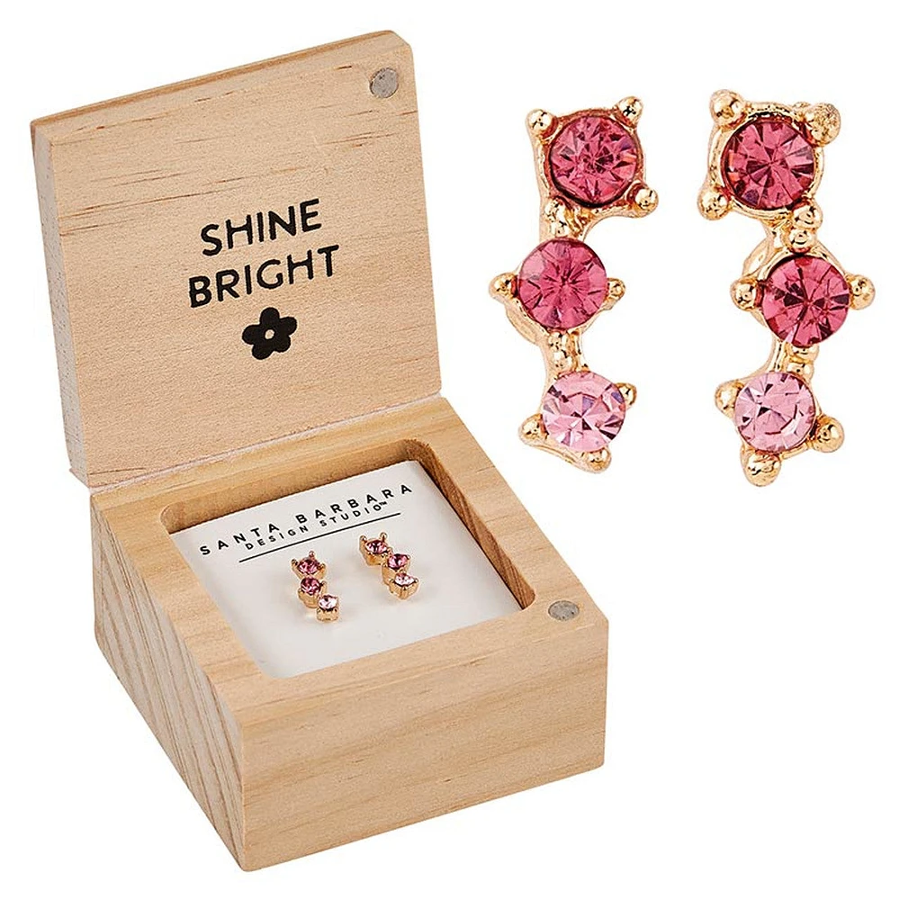 Earring Box