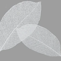 Harvest Leaf Shower Curtain