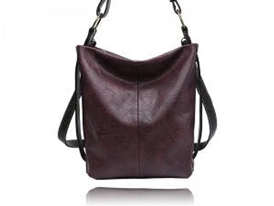 Plum H51 Crossbody Unique Purse