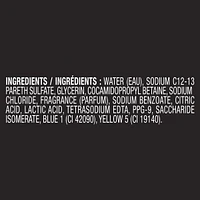 Body Wash for Long-Lasting Freshness Apollo Sage & Cedarwood Scent Men's Moisturizing Shower Gel with 100% Plant-Based Moisturizers