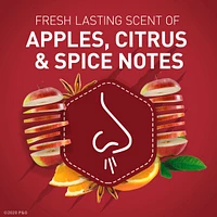 Old Spice Bearglove Scent Deodorant for Men, 85g