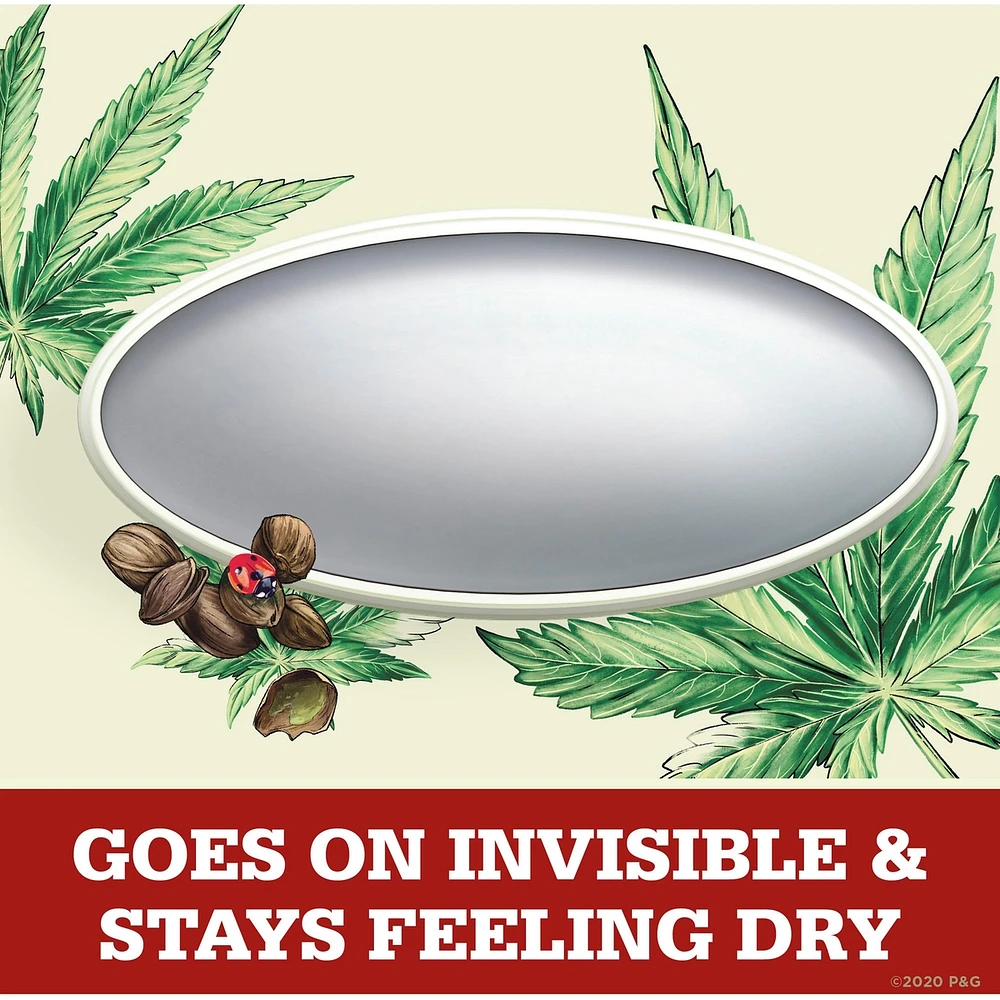 Old Spice Fresh Collection Invisible Solid Alpine with Hemp Oil