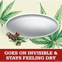 Old Spice Fresh Collection Invisible Solid Alpine with Hemp Oil