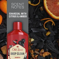 Deep Clean Shampoo for Men with Choal, Fresh and Clean Scent, Removes Built Up Dirt and Oil