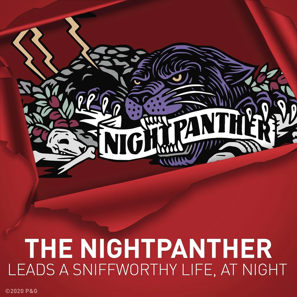 Old Spice Wild Collection Deodorant Night Panther