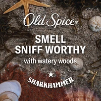 Désodorisant et antisudorifique Old Spice pour hommes, Sharkhammer