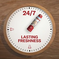 Old Spice Aluminum Free Dry Spray, Wilderness