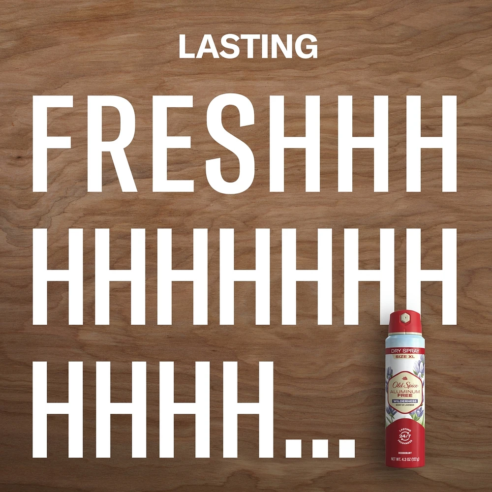 Old Spice Aluminum Free Dry Spray, Wilderness
