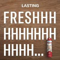Old Spice Aluminum Free Dry Spray, Wilderness
