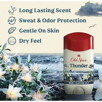 Antisudorifique et désodorisant pour hommes, parfum Tonnerre, fraîcheur et protection contre la transpiration durables 24heures sur 24, 7jours sur 7, 73g