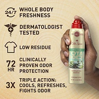 Whole Body Deodorant for Men, Total Body Deodorant, Aloe + Rain, Aluminum Free Spray for 24/7 Freshness