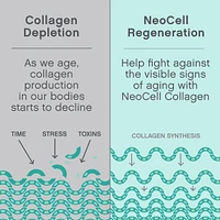 Collagen Protein Peptides