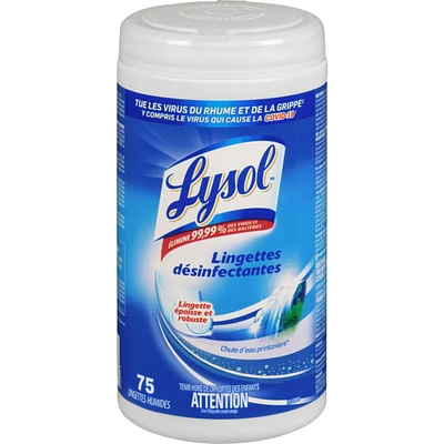 Disinfecting Wipes, Spring Waterfall