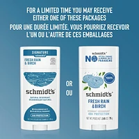 Fresh Rain & Birch 48h Deodorant with 100% Natural Origin Ingredients