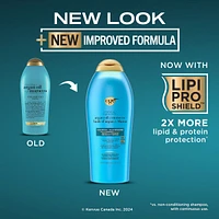 Renewing + Argan Oil of Morocco Shampoo
