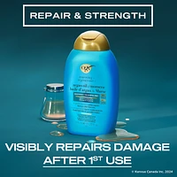 Renewing + Argan Oil of Morocco Shampoo