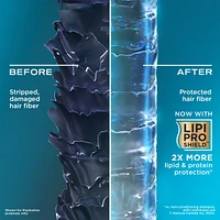 Renewing + Argan Oil of Morocco Shampoo