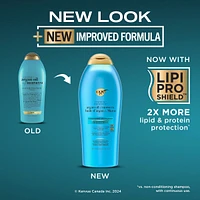 Renewing + Argan Oil of Morocco Conditioner