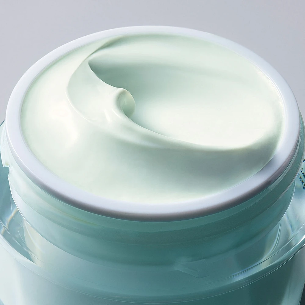 Crème hydratante DayWear Multi-Protection Anti-Oxydant 24H Hydratante SPF 15