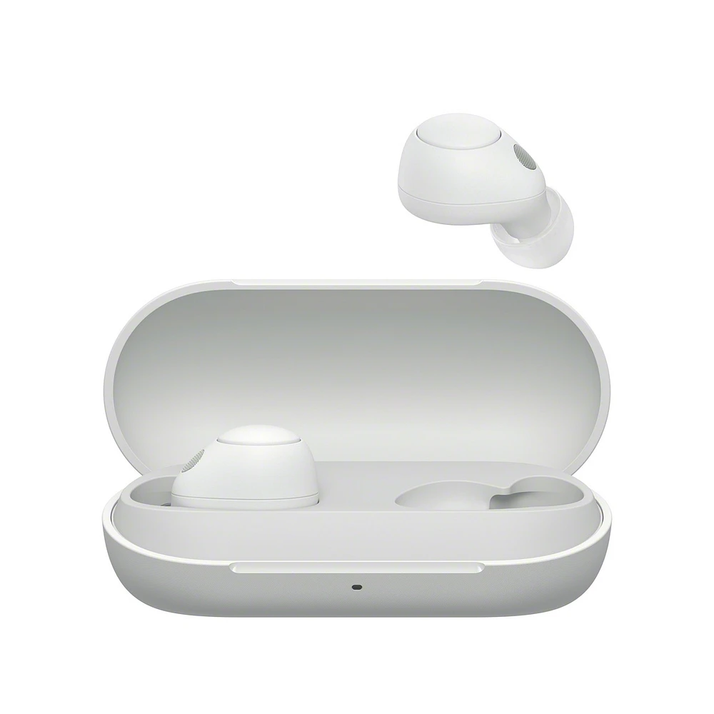 Wfc700n True Wireless Headphone