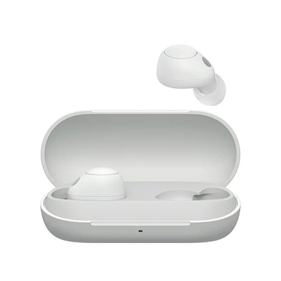 Wfc700n True Wireless Headphone