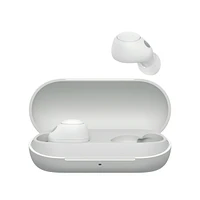 Wfc700n True Wireless Headphone