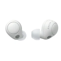 Wfc700n True Wireless Headphone