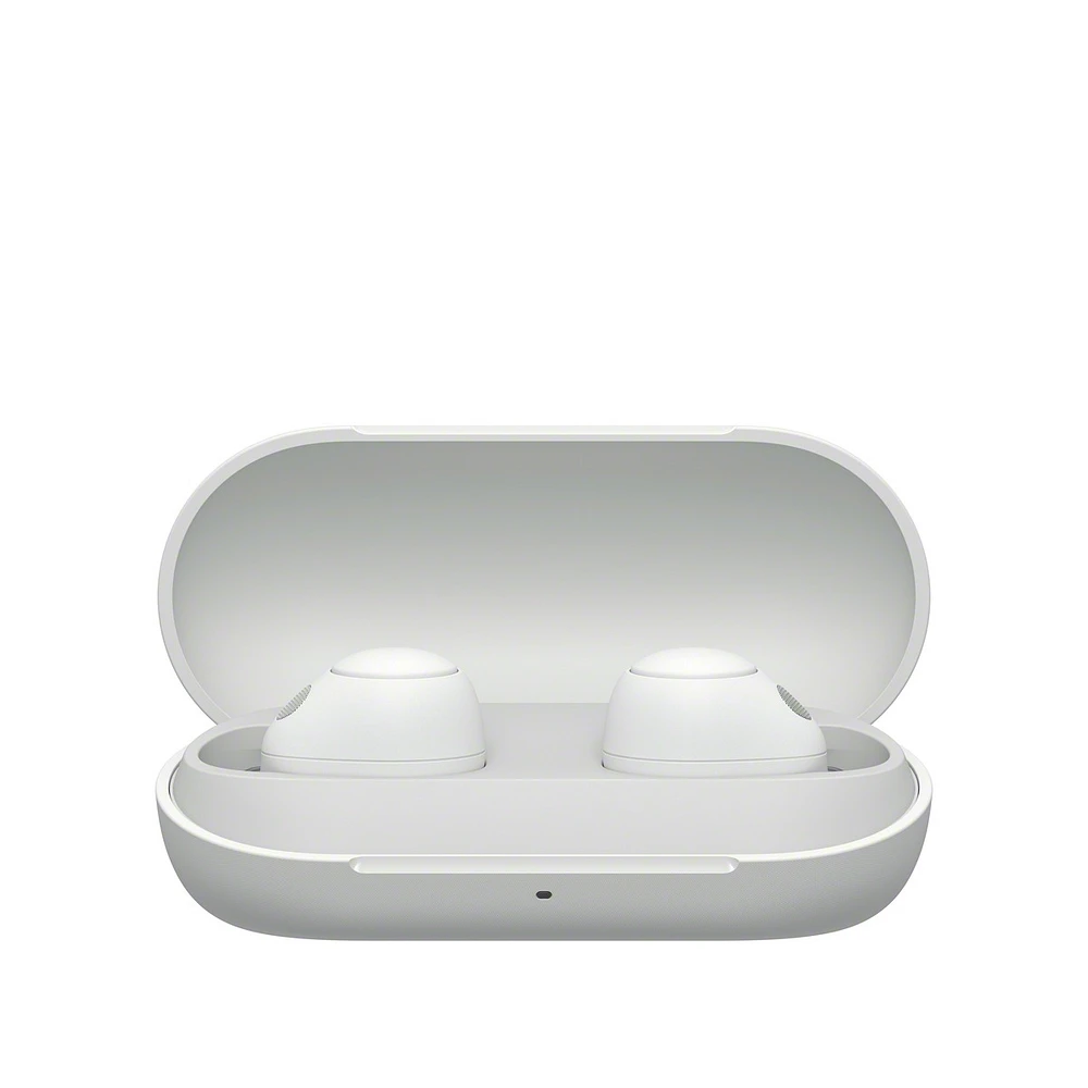 Wfc700n True Wireless Headphone