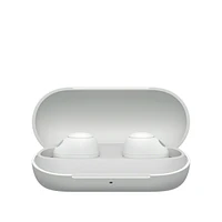 Wfc700n True Wireless Headphone