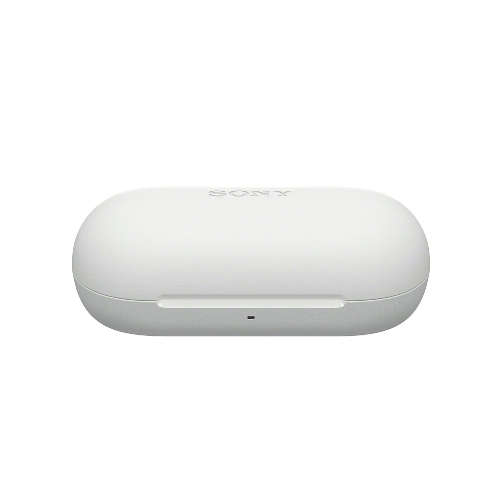 Wfc700n True Wireless Headphone