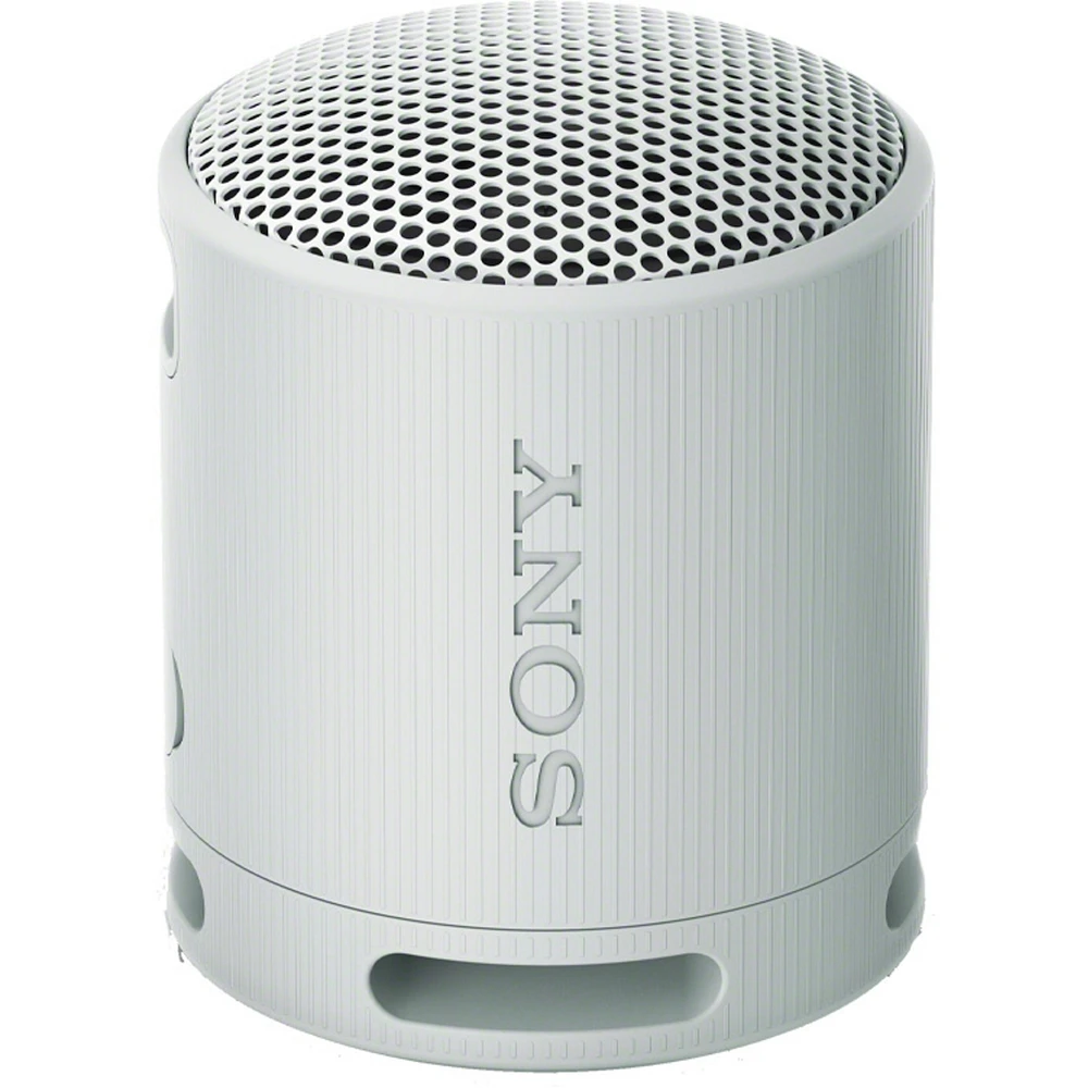 SRSXB100/H Speaker