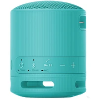 SRSXB100/L Speaker