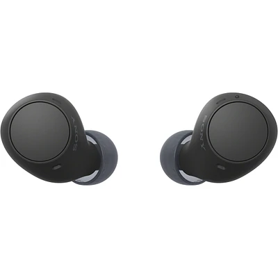 WF-C510 Truly Wireless Earbuds