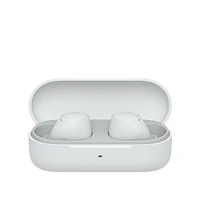 WF-C510 Truly Wireless Earbuds