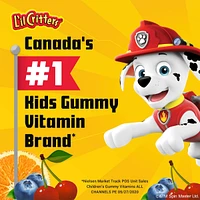 Paw Patrol Multivitamin Gummies