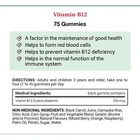 Vitamin B12, Factor In Maintenance Of Good Health