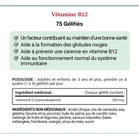 Vitamin B12, Factor In Maintenance Of Good Health