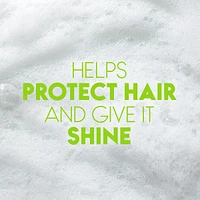 Green Apple 2-in-1 Shampoo + Conditioner